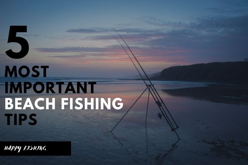 THE MOST IMPORTANT 5 BEACH FISHING TIPS